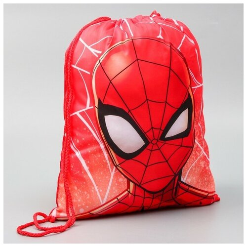 фото Мешок для обуви 420 х 350 мм, spider-man newstore