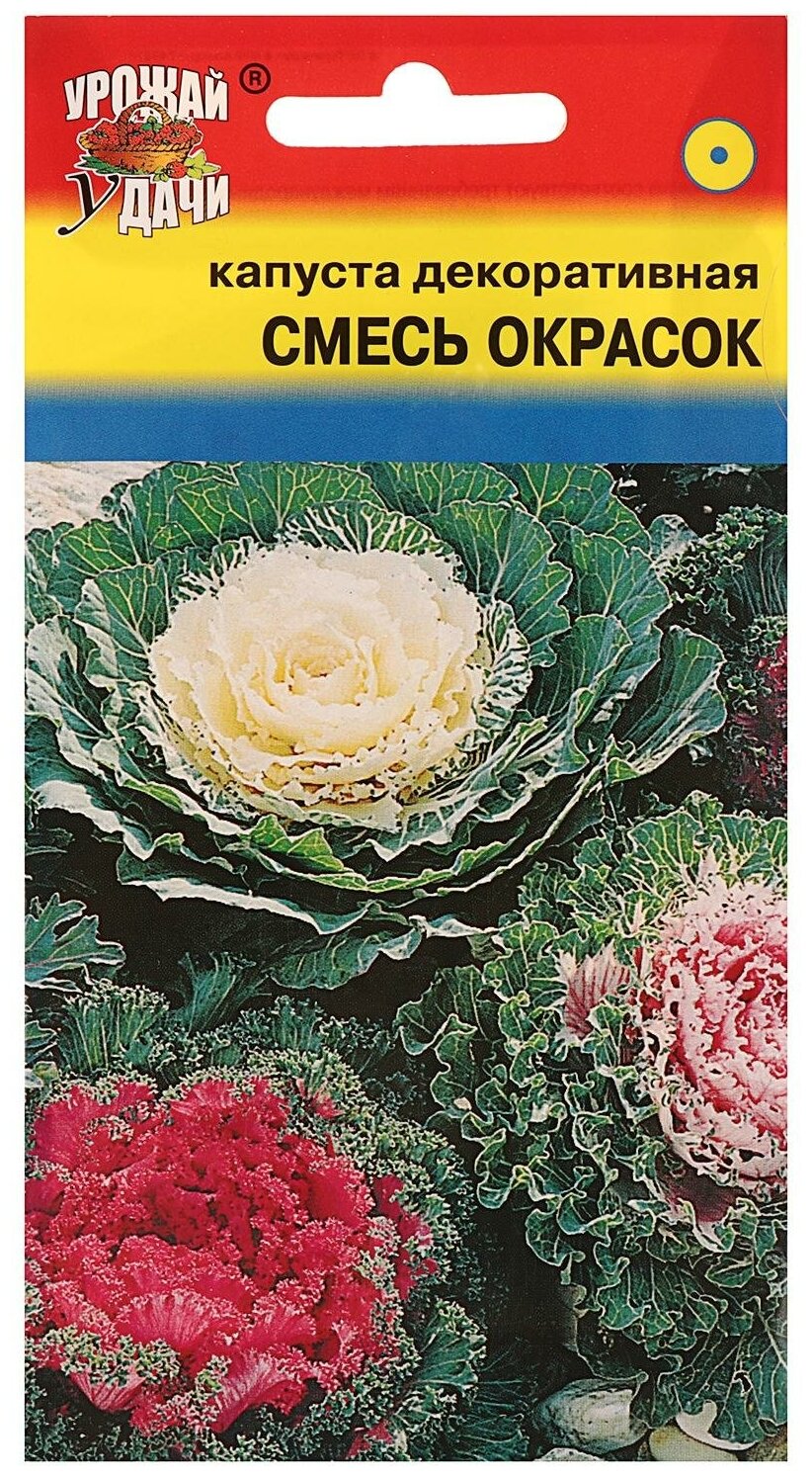 Семена цветов Цв Капуста дек. Смесь окрасок02 гр