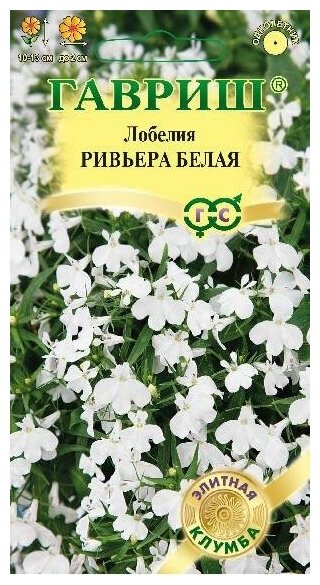 Семена. Лобелия "Ривьера Белая" (5 штук в пробирке)