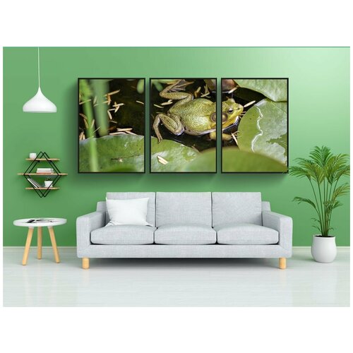 фото Набор модулных постеров для интерьера "вода, лягушка, животное" 60x90 см. в тубусе, без рамки lotsprints