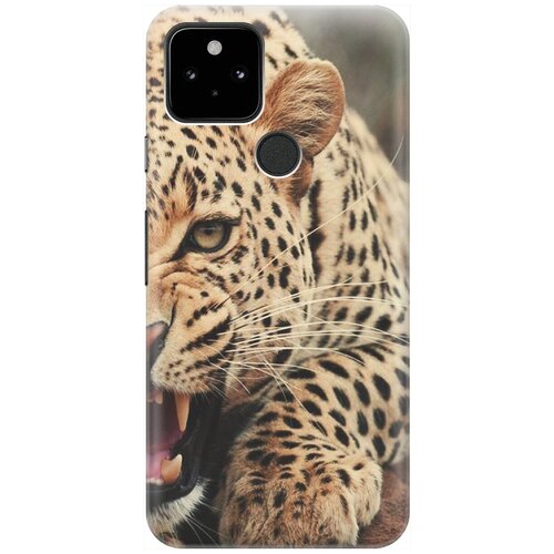 фото Re:pa накладка transparent для google pixel 5 с принтом "рассерженный хищник"