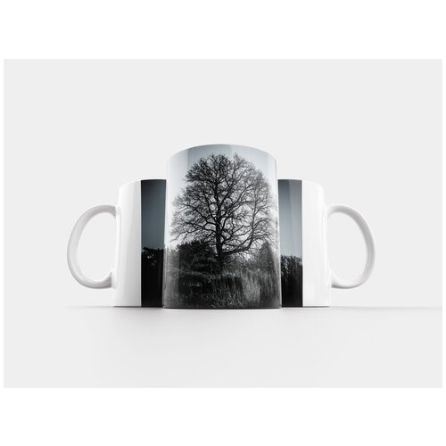 фото Кружка "верхушка дерева, лысый, зима" 320 мл lotsprints