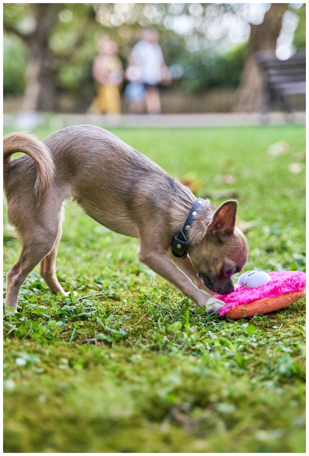 Игрушка для собак Japan Premium Pet Фрисби пушистый, розовый. - фотография № 5