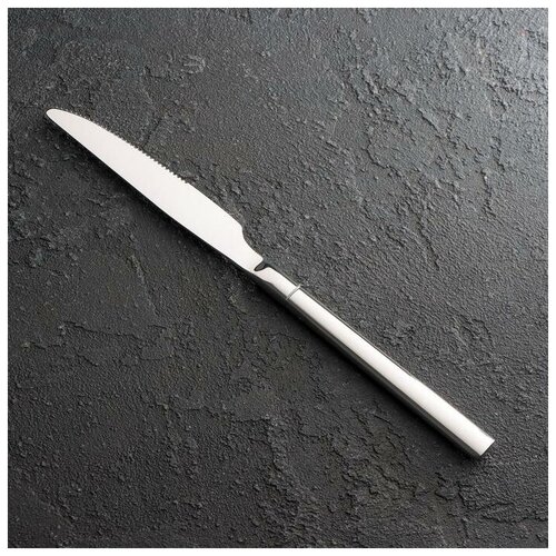 Нож столовый Magistro, h=23 см, цвет серебряный