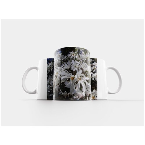 фото Кружка "звездная магнолия, магнолия звездчатая, декоративный кустарник" 320 мл lotsprints