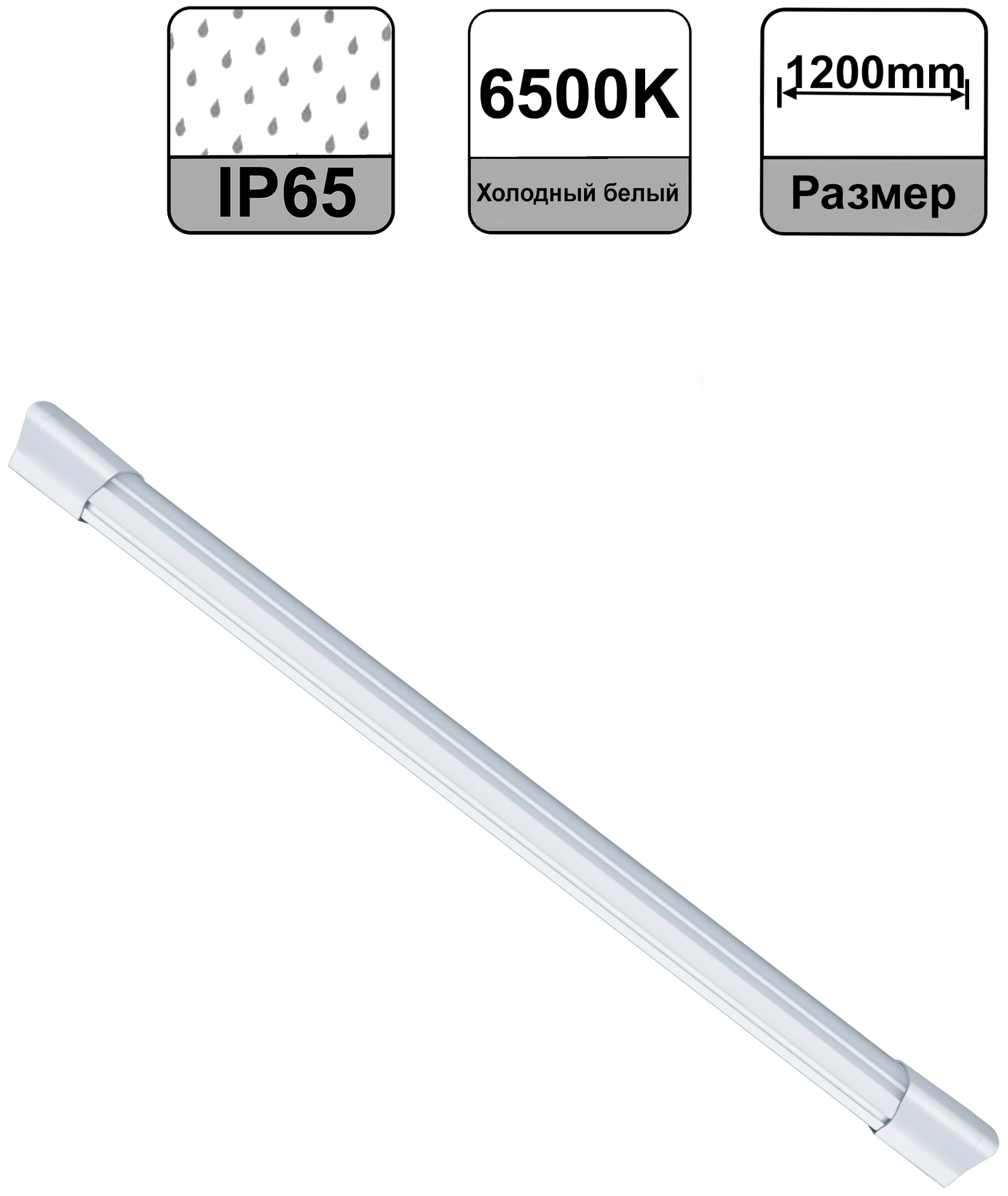 Navigator Светильник Dsp-cc-36-6.5k-ip65-led-r 14133