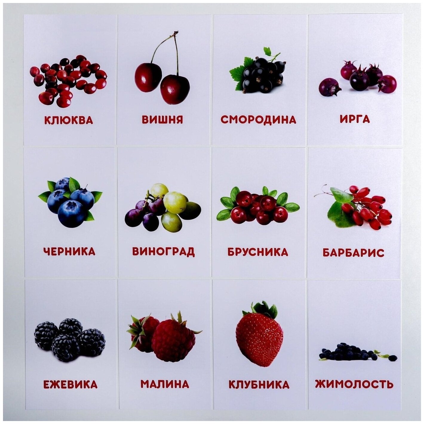Все ягоды россии список с картинками