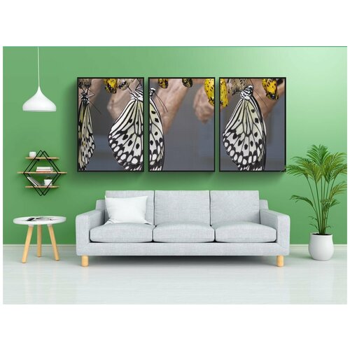 фото Набор модулных постеров для интерьера "бабочки, острова, канарские острова" 60x90 см. в тубусе, без рамки lotsprints