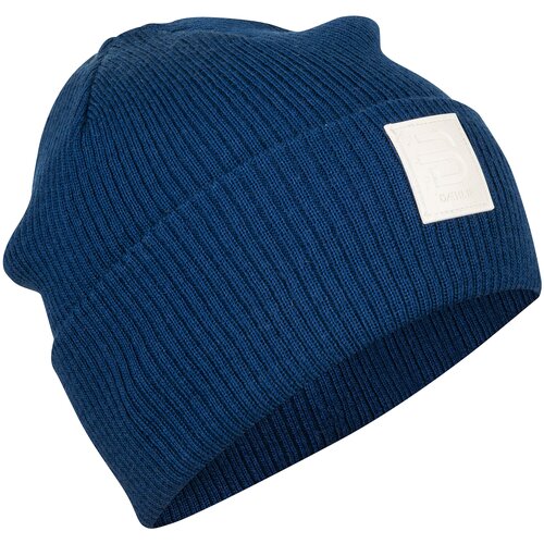 Шапка Bjorn Daehlie 2021-22 Hat Retro Estate Blue