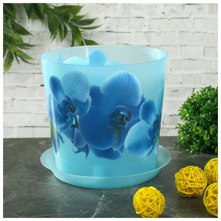 Горшок для орхидей с поддоном 1,2 л "Деко", цвет голубой 2521477