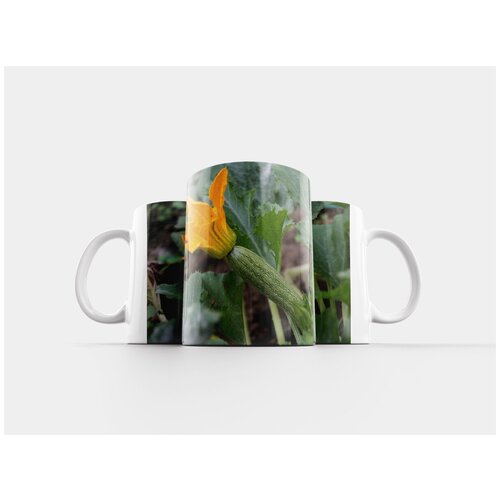 фото Кружка "цуккини, цветок цуккини, овощ" 320 мл lotsprints