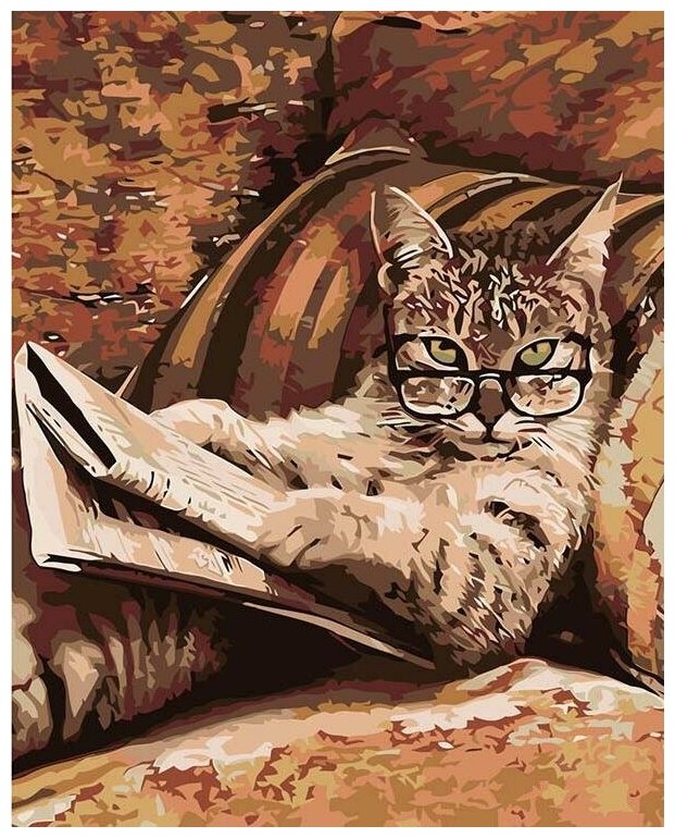 Картина по номерам "Кот с книгой", 40x50 см