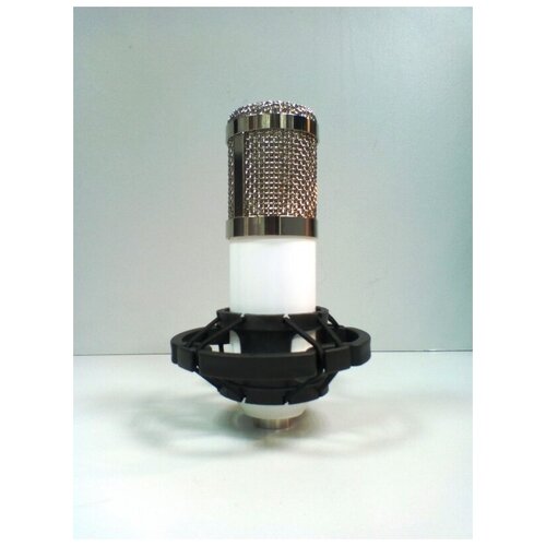 Микрофон конденсаторный LTR JG-28 399000₽