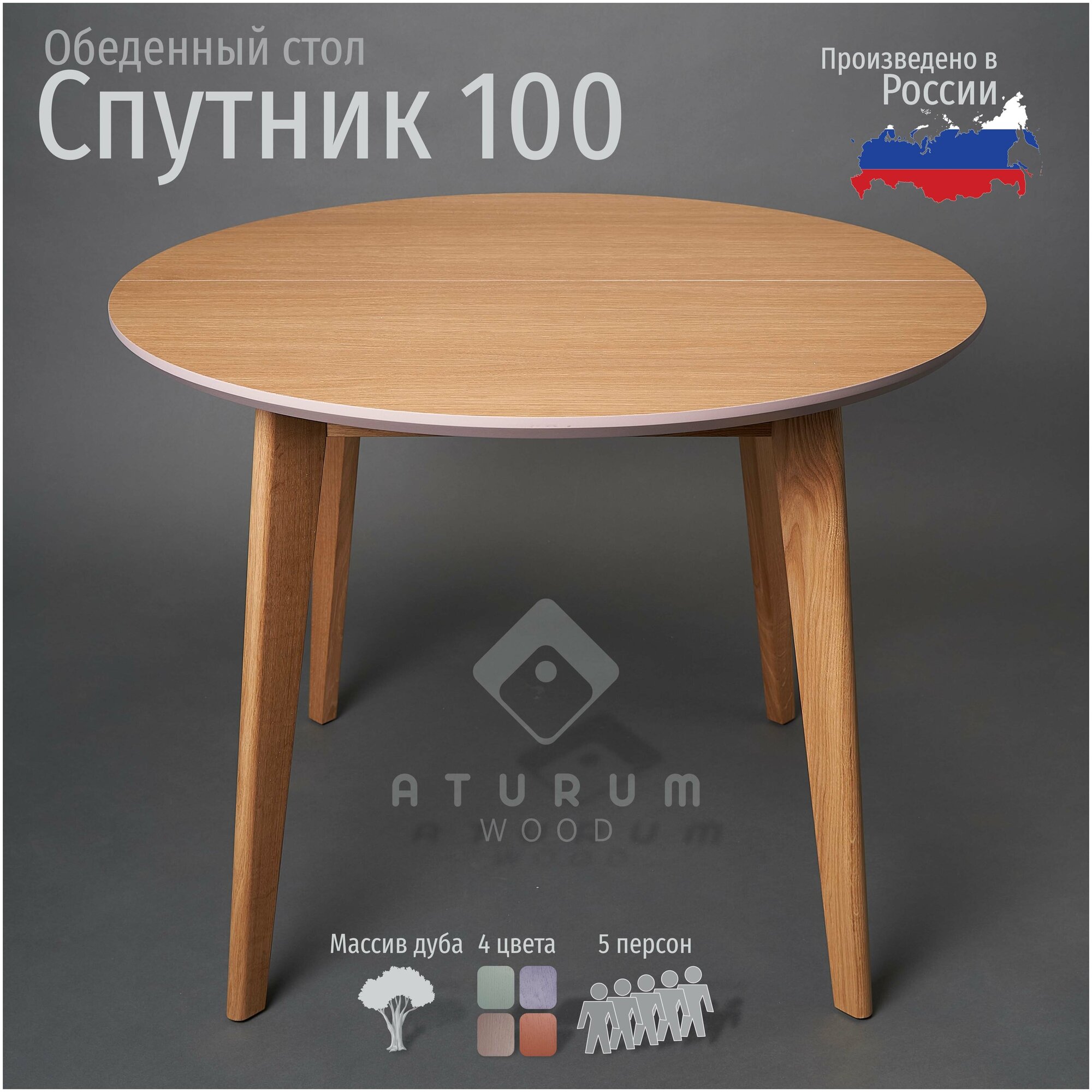 Стол обеденный Спутник 100-23, цвет Казанова