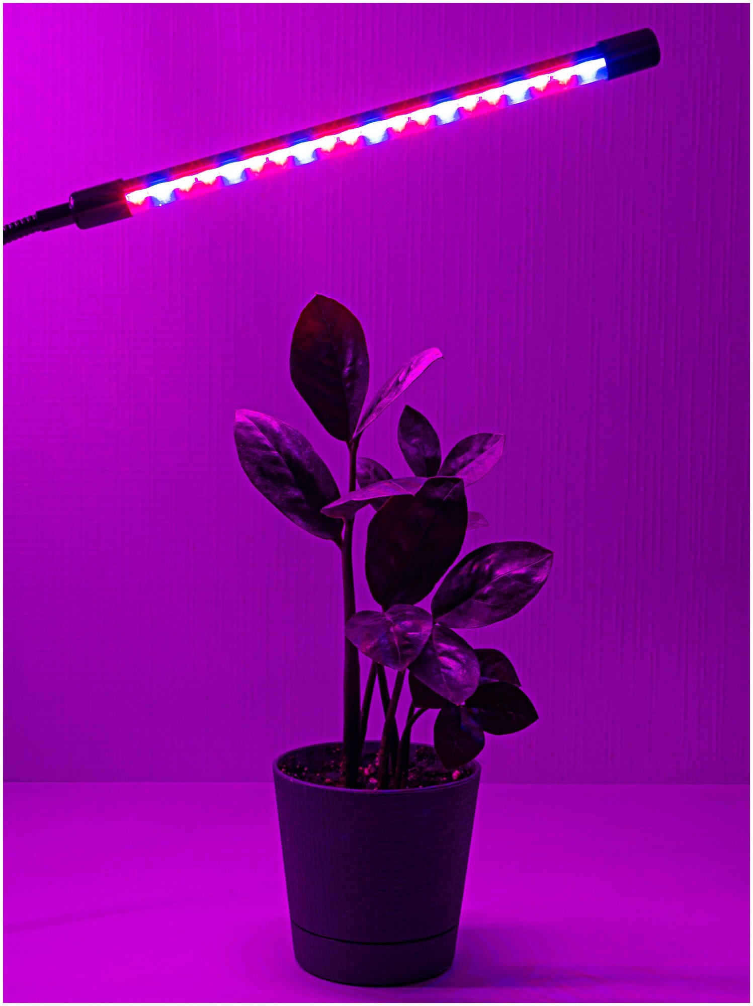 Фитолампа для растений светодиодная полного спектра. Фитолампа для рассады. Светильник лампа LED на прищепке с таймером, 2 лампы - фотография № 7