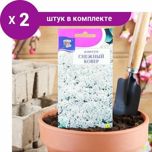 Семена цветов Цв Алиссум 'Снежный ковер',0,1 гр (2 шт)