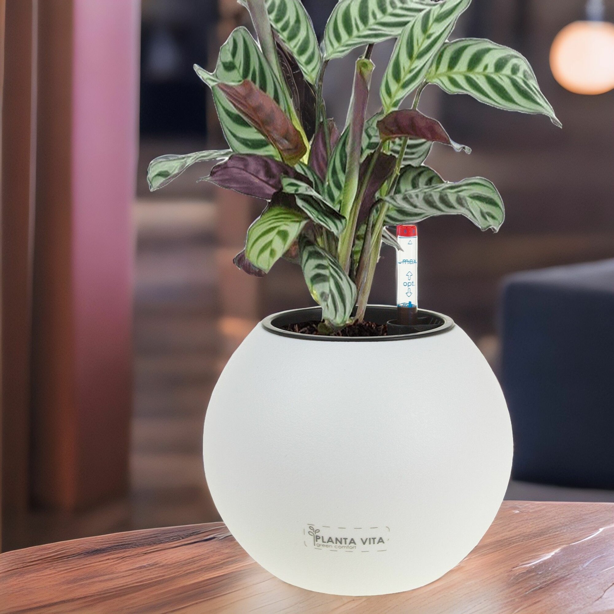 фото Кашпо PLANTA VITA "Ball Matt white" с автополивом (пластик), D17xH15 см