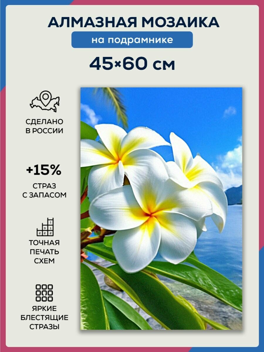 Алмазная мозаика 45x60 Плюмерия у воды на подрамнике