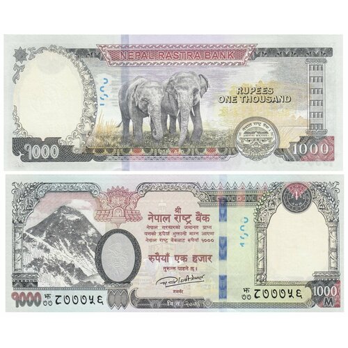 Непал 1000 рупий 2019 года UNC непал 1000 рупий 2005 г ступа сваямбунатх обезьяний храм азиатский слон unc
