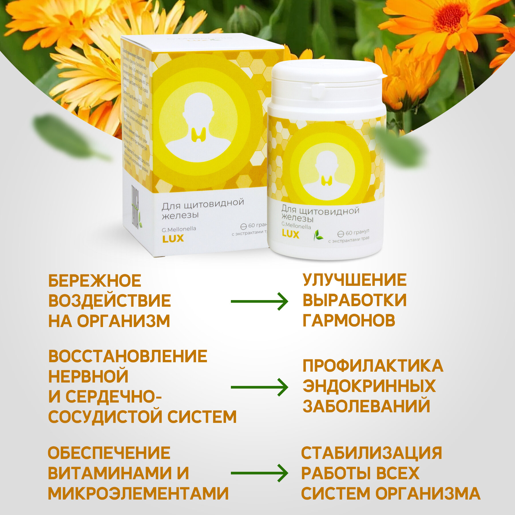 Картинки Двухмесячный комплекс "Огнёвка Люкс" - комплекс для щитовидной железы, витамины для эндокринной системы, дефицит йода, 60 гранул.