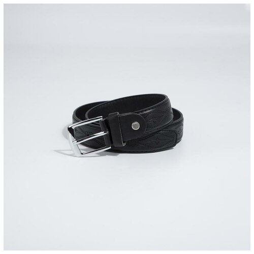 фото Ремень, ширина 2,8 см, винт, пряжка металл, цвет чёрный korban