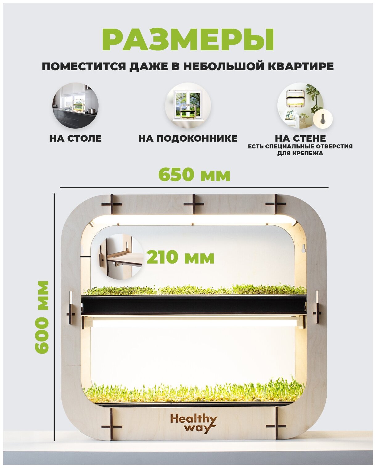 Healthy Way Набор для выращивания микрозелени дома Grass Box. Стеллаж для проращивания рассады и цветов на подоконнике - фотография № 2