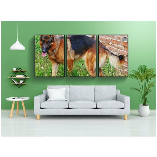 фото Набор модулных постеров для интерьера "немецкая овчарка, собака, собачий" 60x90 см. в тубусе, без рамки lotsprints