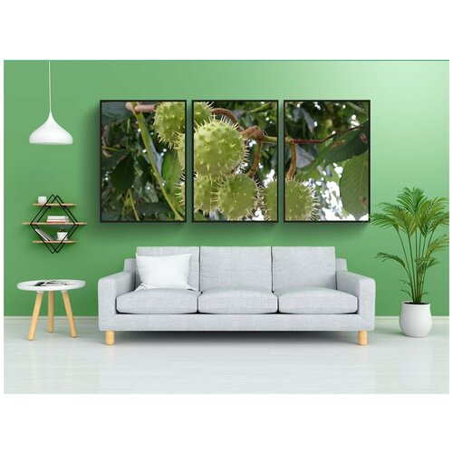 фото Набор модулных постеров для интерьера "каштаны, зеленый, каштан" 60x90 см. в тубусе, без рамки lotsprints