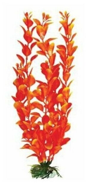 Растение Лисимахия красно-жёлтая пластик 30см