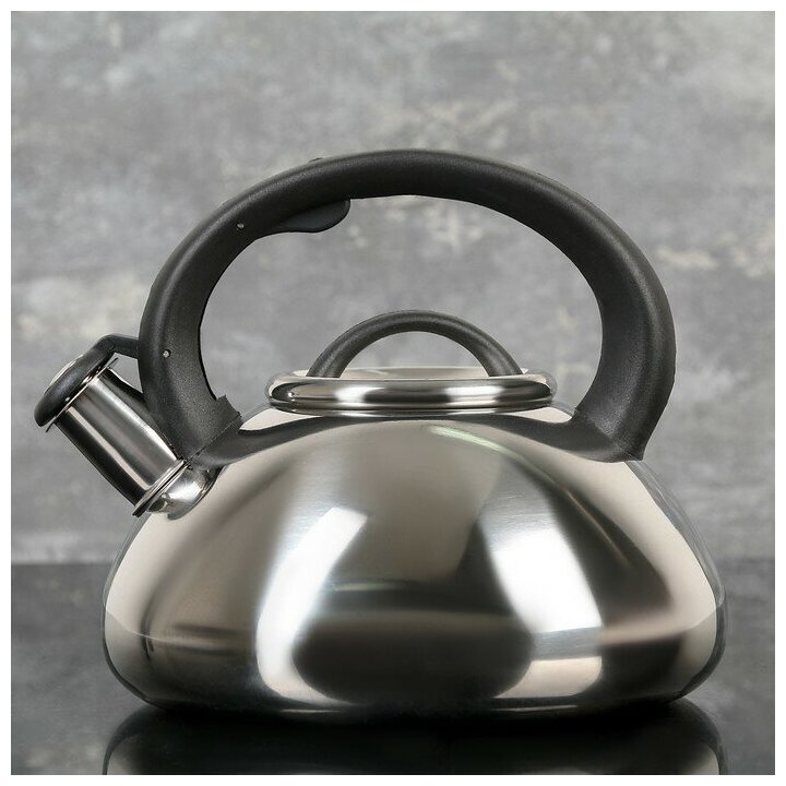 Чайник Доляна «Квант», 2,8 л, со свистком, нержавеющая сталь, цвет хромированный
