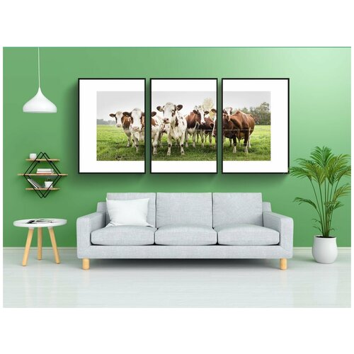 фото Набор модулных постеров для интерьера "коровы, луг, крупный рогатый скот" 60x90 см. в тубусе, без рамки lotsprints