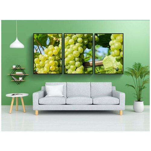 фото Набор модулных постеров для интерьера "виноград, фрукты, виноградарство" 60x90 см. в тубусе, без рамки lotsprints