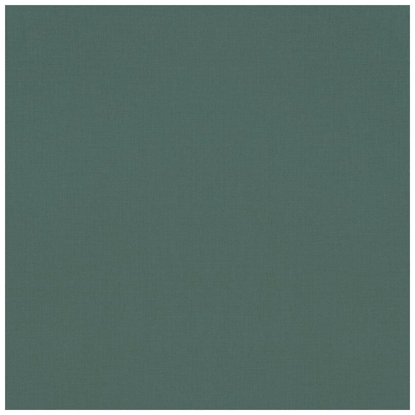 фото Обои Rasch коллекция Amazing артикул 531459 винил на флизелине ширина 53 длинна 10,05, Германия