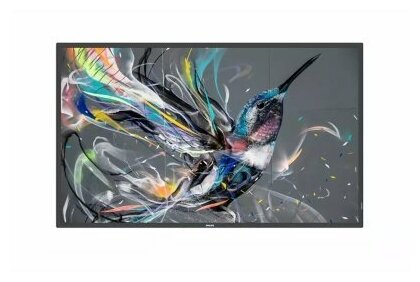 Профессиональная панель Philips 43BDL3550Q00