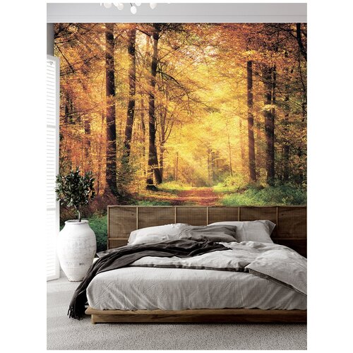 Фотообои Homepick ForestOrange15397 3х27 м 4400₽