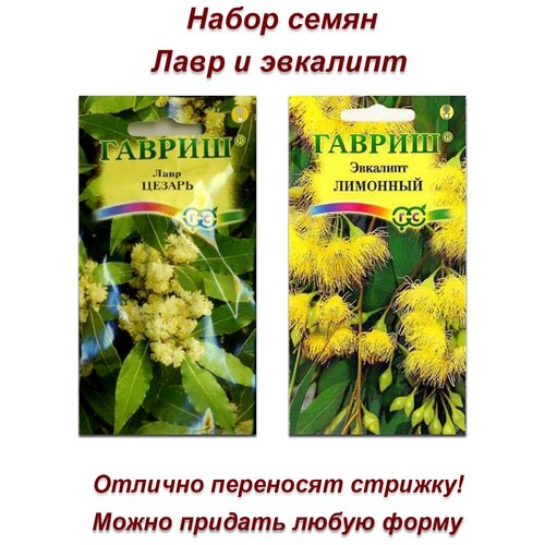 Набор семян, семена комнатных цветов Лавр и эвкалипт семена набор семян комнатных цветов эвкалипт