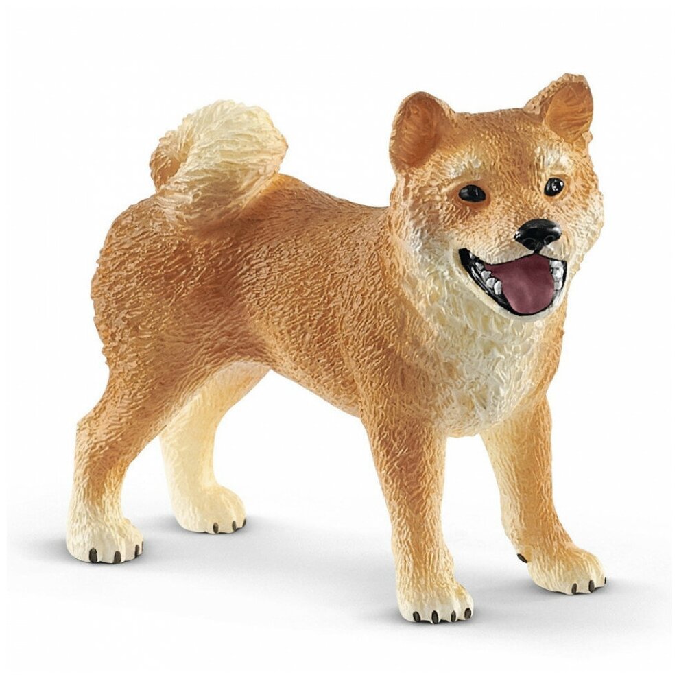 Картинки шляйх собак