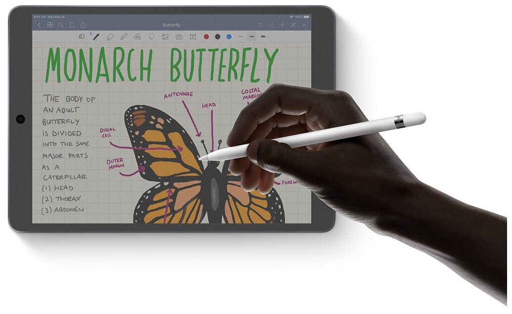 Накладка для рисования SwitchEasy Paperlike screen protector для iPad mini 7.9". Материал пластик. Цвет прозрачный. — фото 6