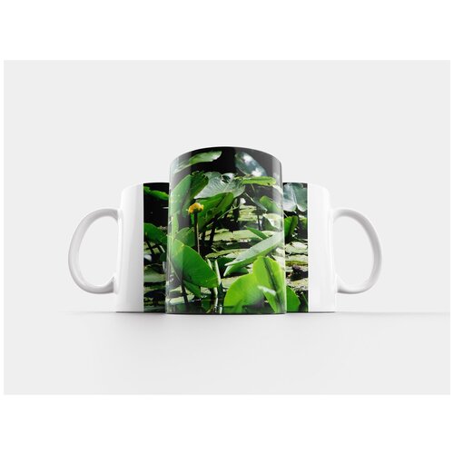 фото Кружка "вода, цветок, водное растение" 320 мл lotsprints