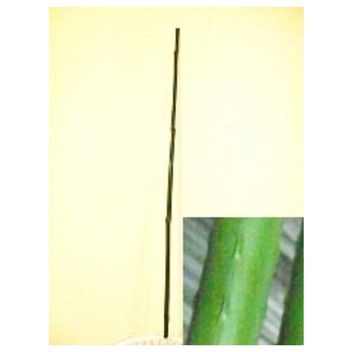 Палка для растений металл в пластике, 150 см (арт. LCSP-11-150)