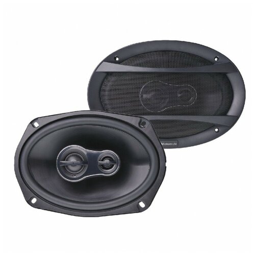 Nakamichi NSE-6958 550000₽