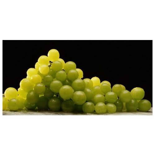 Постер на холсте Виноград №3 80см. x 40см.