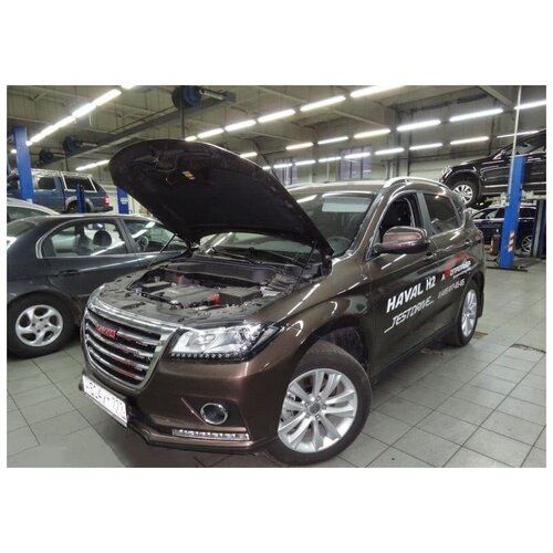 Амортизаторы капота для HAVAL H2 2014-2021, 2 шт. \ Хавал Н2