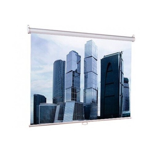 Экран для проектора Lumien Eco Picture 160х160 см LEP-100105 экран lumien eco picture 180x180cm lep 100102