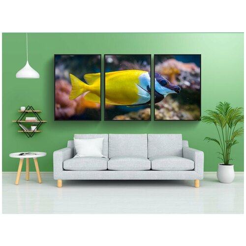 фото Набор модулных постеров для интерьера "рыба, аквариум, животные" 60x90 см. в тубусе, без рамки lotsprints