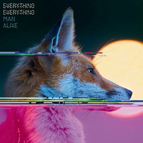 виниловая пластинка диана експрес diana express Everything Everything Виниловая пластинка Everything Everything Man Alive