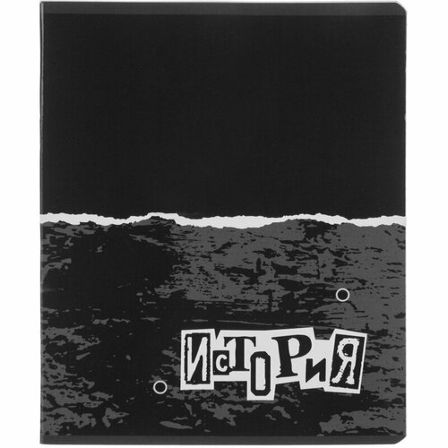 Комплект 100 штук Тетрадь предметная 48л А5 клетка УФ-лак 1 School -Панк- история 7331₽