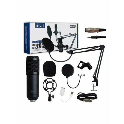 Профессиональный студийный микрофон для записи 2875₽