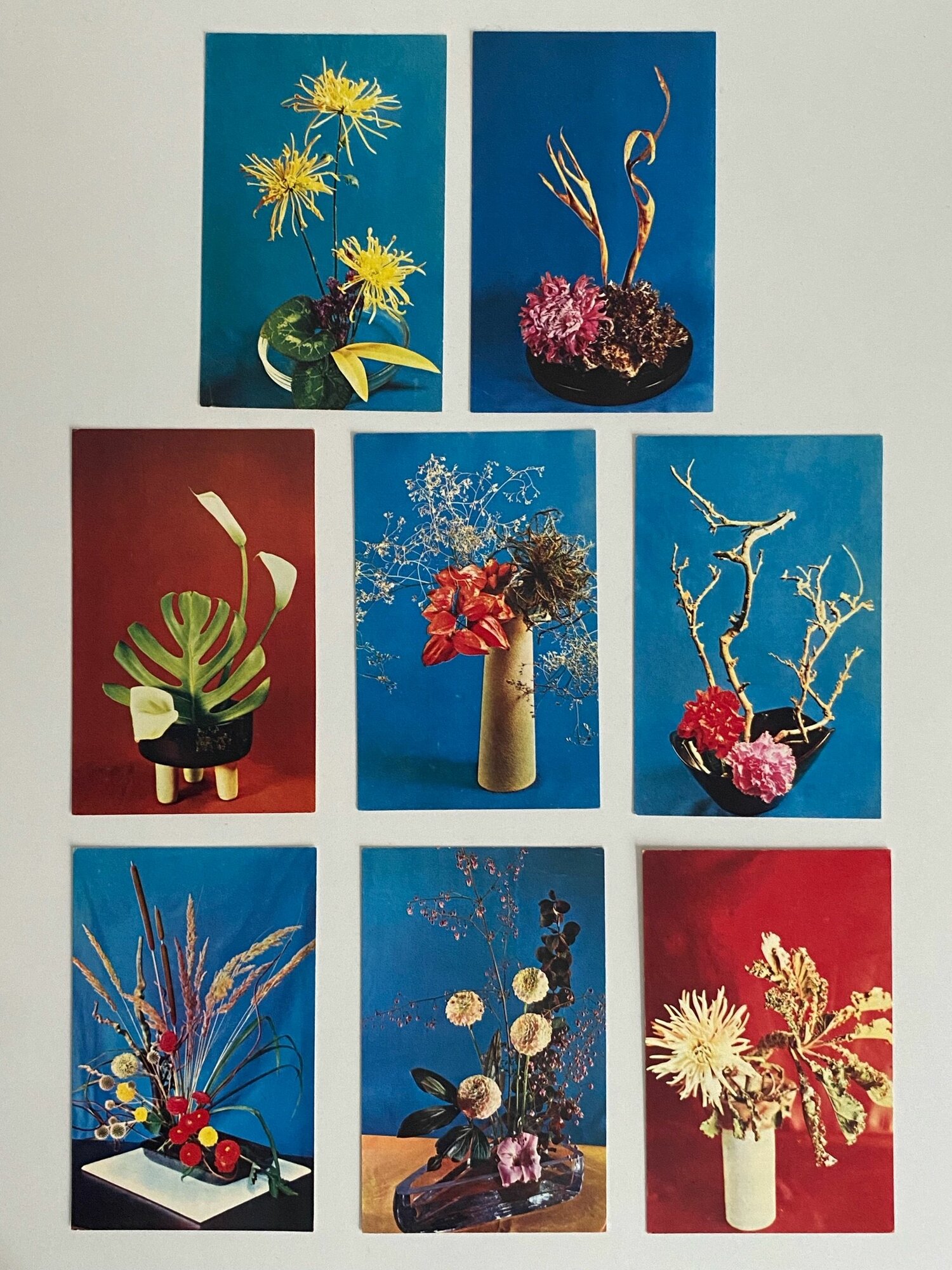 Набор винтажных открыток "Цветы". СССР. 8 шт. Размеры: 14х9 см.