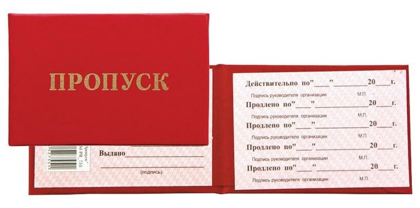 Пропуск установленного образца 9 букв